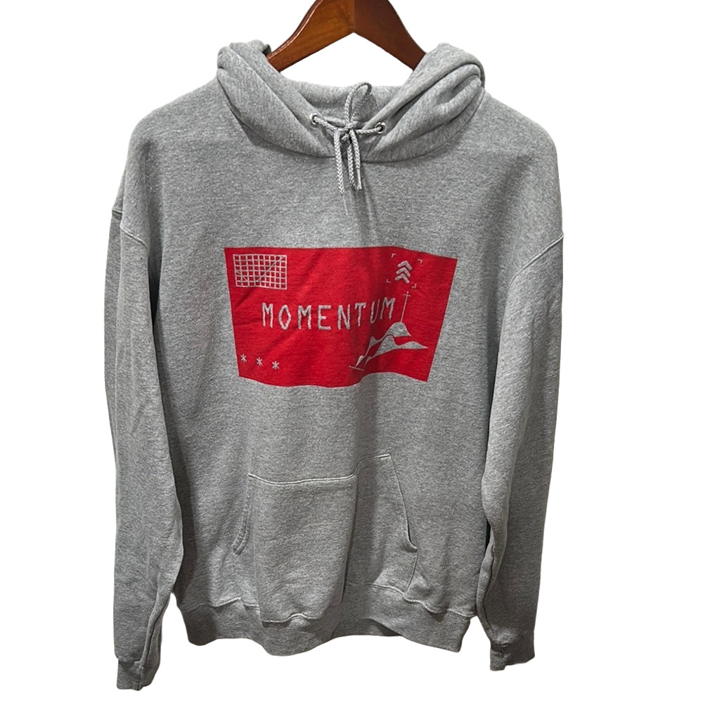 Champion ECO authentic Gray Hoodie with Red MOMENTUM graphic